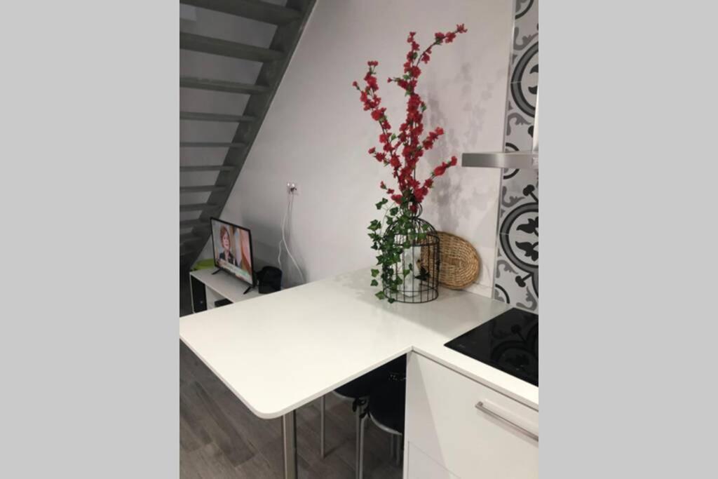 Canelle Apartamento Com Terraco Nazaré Exterior foto